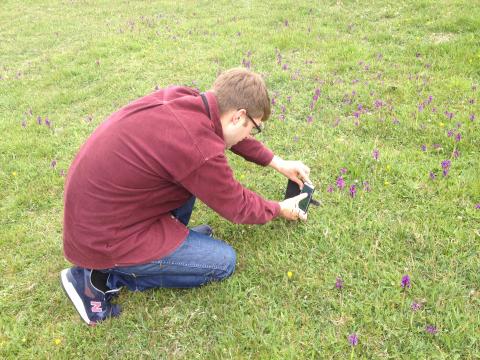 Photographing Green-winged orchids. Photo: Cath Castillo