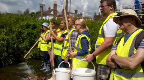 River Wardens being trained in Riverfly surveying. Photo: Essex Wildlife Trust