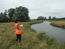 Surveyor on river bank. Photo: Essex Wildlife Trust