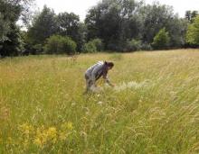 Grassland surveying 
