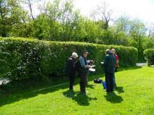 Essex Wildlife Trust hedgerow survey course